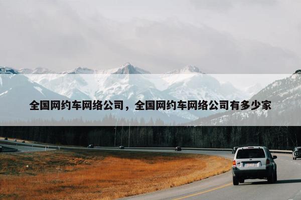 全国网约车网络公司，全国网约车网络公司有多少家