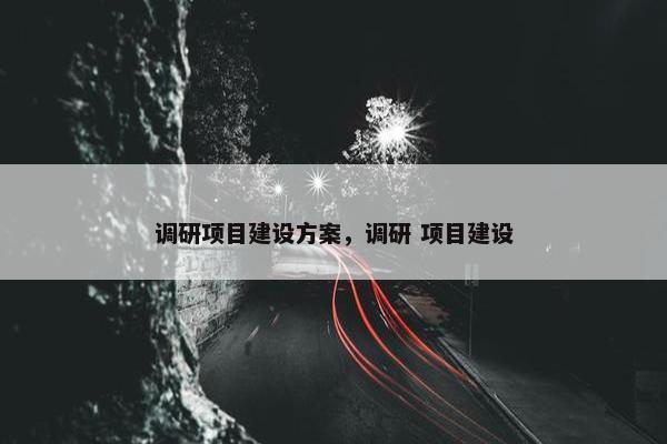 调研项目建设方案，调研 项目建设