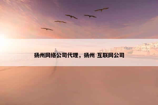 扬州网络公司代理，扬州 互联网公司