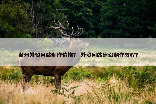 台州外贸网站制作价格？ 外贸网站建设制作教程？