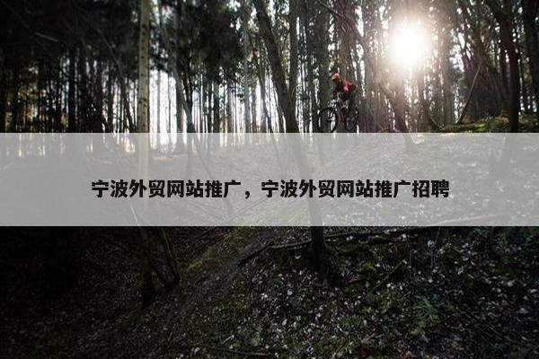 宁波外贸网站推广，宁波外贸网站推广招聘