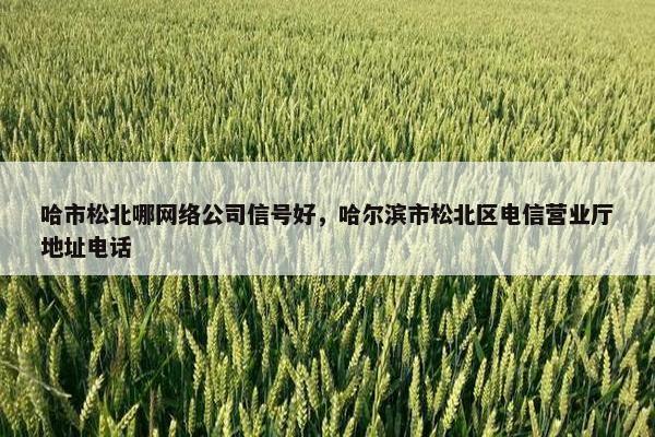 哈市松北哪网络公司信号好，哈尔滨市松北区电信营业厅地址电话