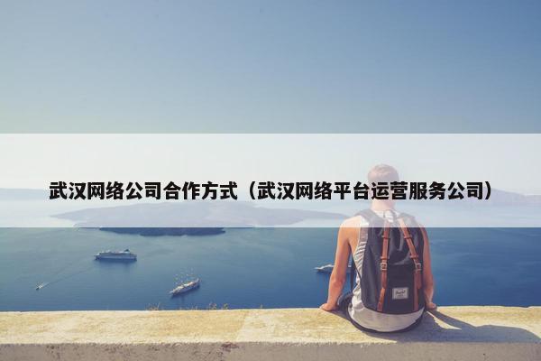 武汉网络公司合作方式（武汉网络平台运营服务公司）