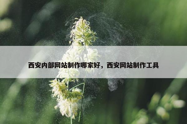 西安内部网站制作哪家好，西安网站制作工具
