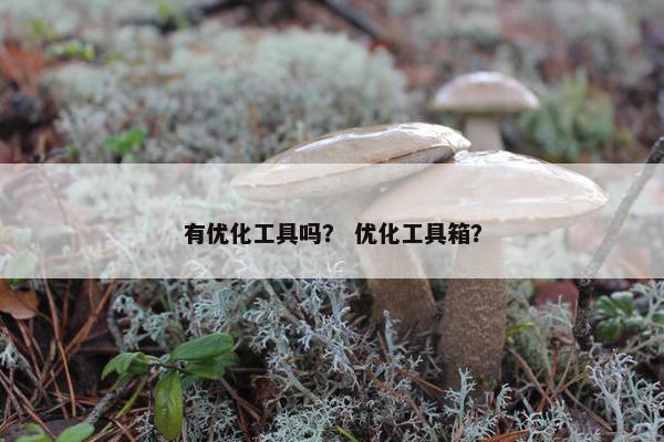 有优化工具吗？ 优化工具箱？