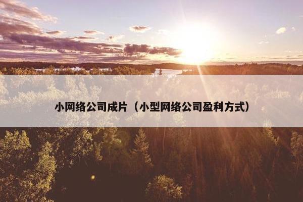 小网络公司成片（小型网络公司盈利方式）