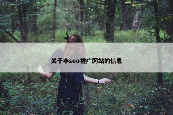 关于丰seo推广网站的信息