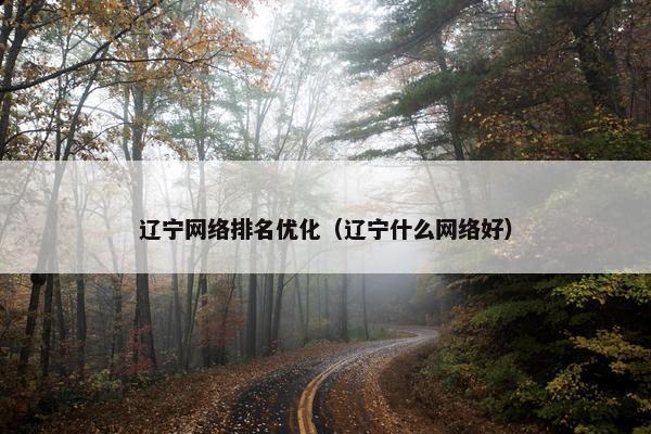 辽宁网络排名优化（辽宁什么网络好）