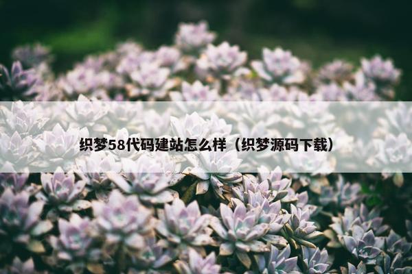 织梦58代码建站怎么样（织梦源码下载）