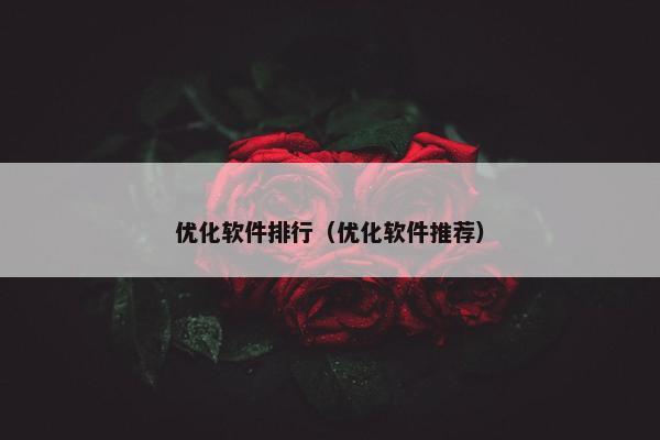 优化软件排行（优化软件推荐）