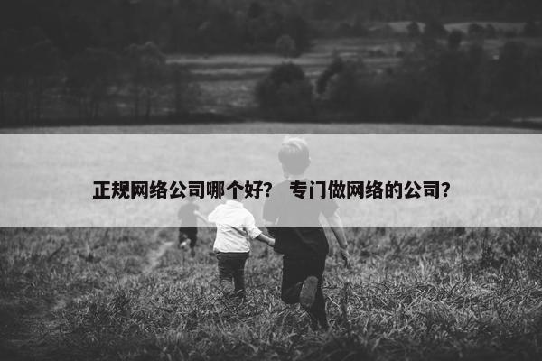 正规网络公司哪个好？ 专门做网络的公司？
