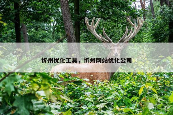 忻州优化工具，忻州网站优化公司