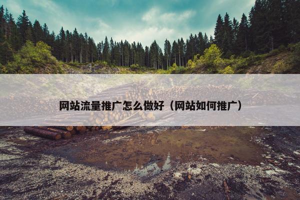 网站流量推广怎么做好（网站如何推广）