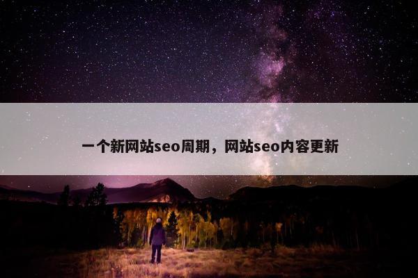 一个新网站seo周期，网站seo内容更新