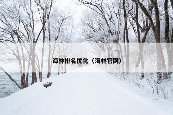 海林排名优化（海林官网）