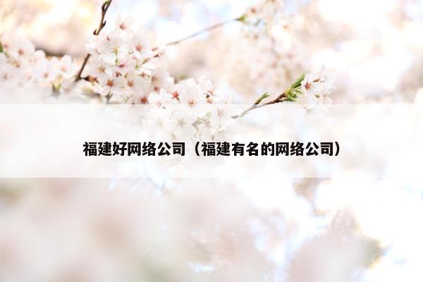 福建好网络公司（福建有名的网络公司）