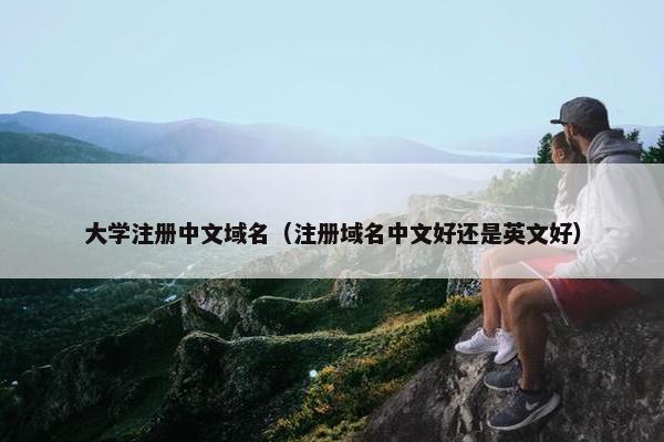 大学注册中文域名（注册域名中文好还是英文好）