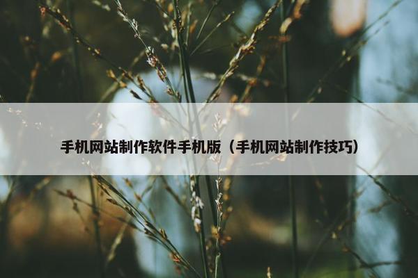 手机网站制作软件手机版（手机网站制作技巧）