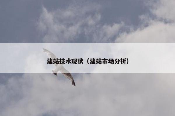 建站技术现状（建站市场分析）