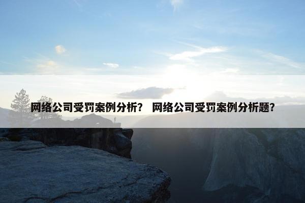网络公司受罚案例分析？ 网络公司受罚案例分析题？