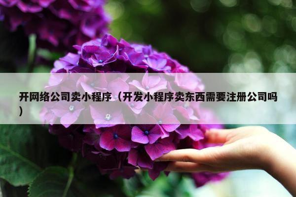 开网络公司卖小程序（开发小程序卖东西需要注册公司吗）