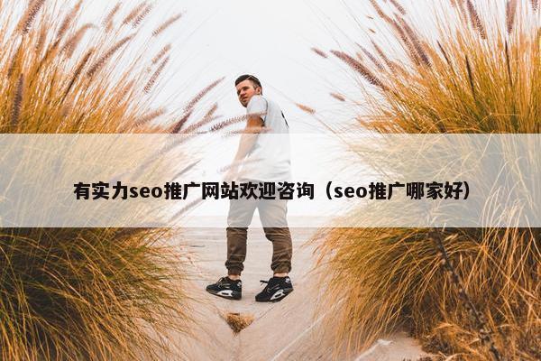 有实力seo推广网站欢迎咨询（seo推广哪家好）