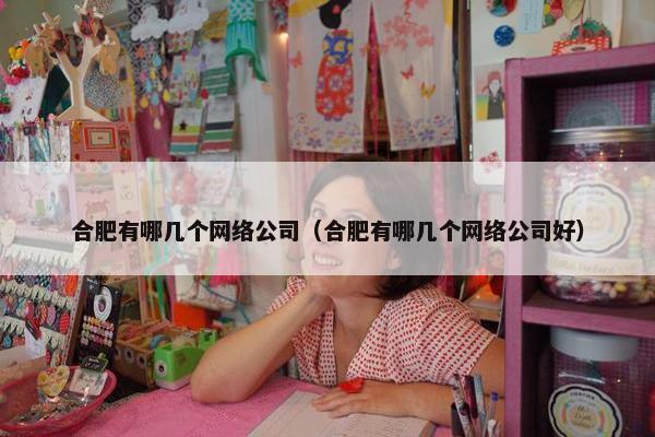 合肥有哪几个网络公司（合肥有哪几个网络公司好）