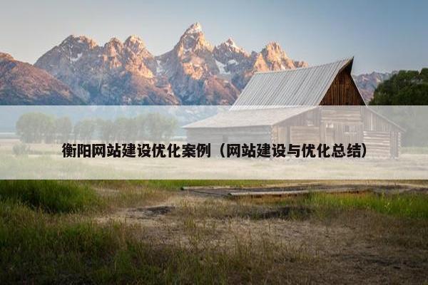 衡阳网站建设优化案例（网站建设与优化总结）
