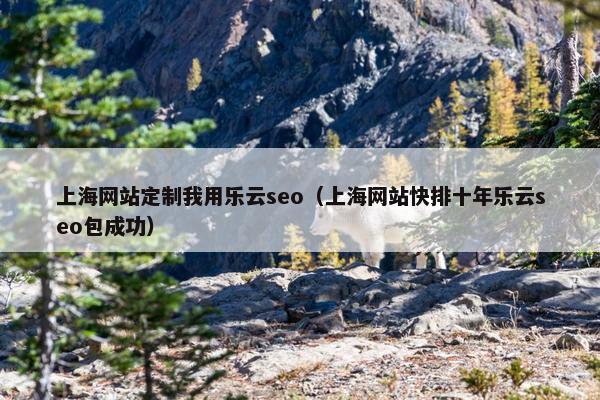 上海网站定制我用乐云seo（上海网站快排十年乐云seo包成功）