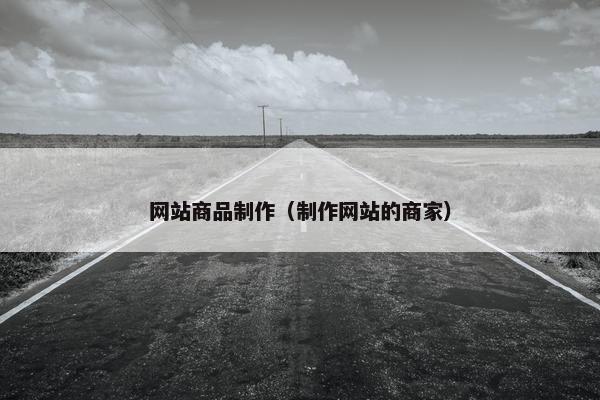 网站商品制作（制作网站的商家）