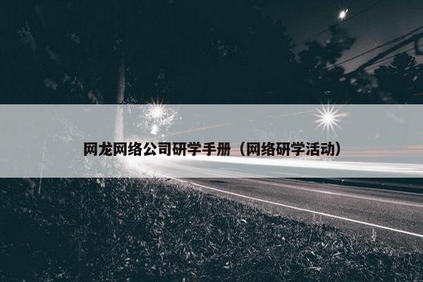 网龙网络公司研学手册（网络研学活动）