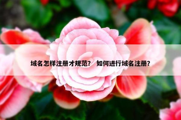 域名怎样注册才规范？ 如何进行域名注册？