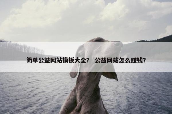 简单公益网站模板大全？ 公益网站怎么赚钱？