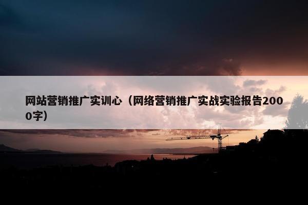 网站营销推广实训心（网络营销推广实战实验报告2000字）