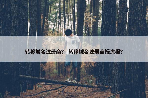 转移域名注册商？ 转移域名注册商标流程？