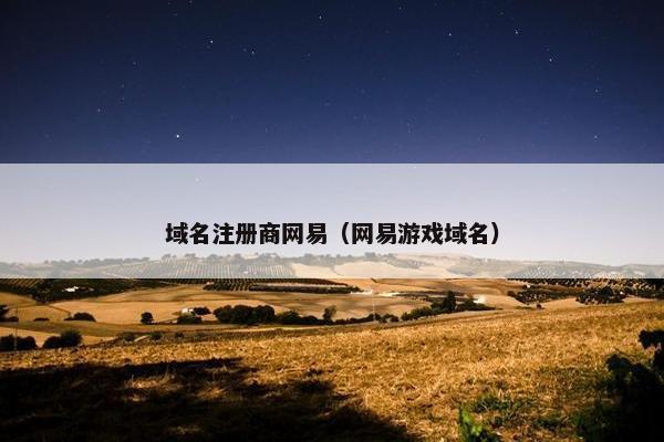 域名注册商网易（网易游戏域名）