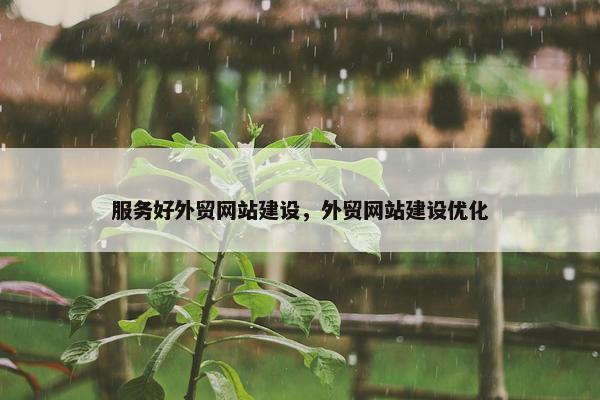 服务好外贸网站建设，外贸网站建设优化