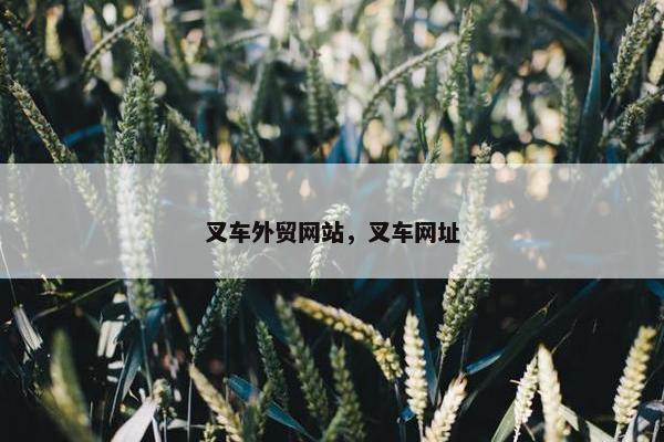 叉车外贸网站，叉车网址