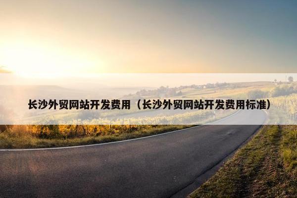 长沙外贸网站开发费用（长沙外贸网站开发费用标准）