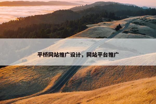 平桥网站推广设计，网站平台推广