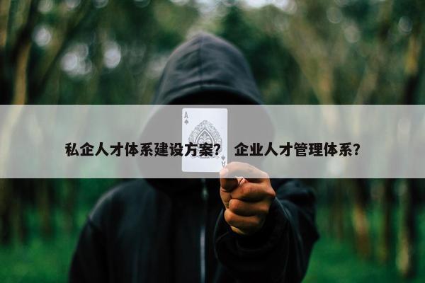 私企人才体系建设方案？ 企业人才管理体系？
