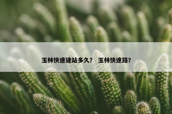 玉林快速建站多久？ 玉林快速路？