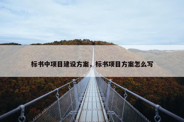 标书中项目建设方案，标书项目方案怎么写