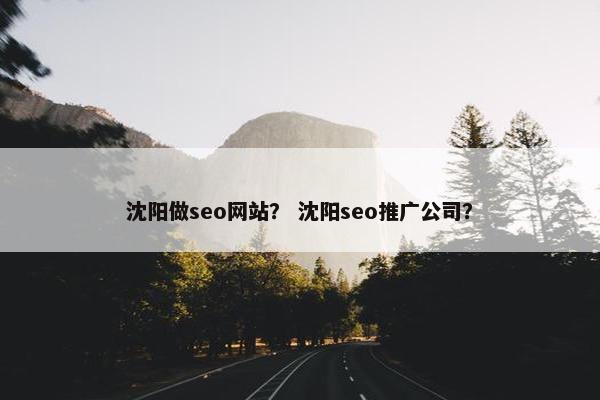 沈阳做seo网站？ 沈阳seo推广公司？