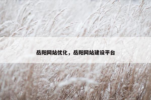 岳阳网站优化，岳阳网站建设平台