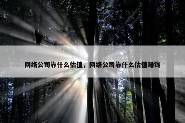 网络公司靠什么估值，网络公司靠什么估值赚钱