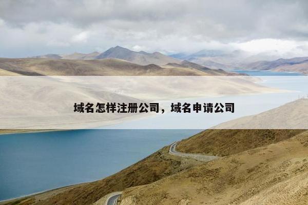 域名怎样注册公司，域名申请公司