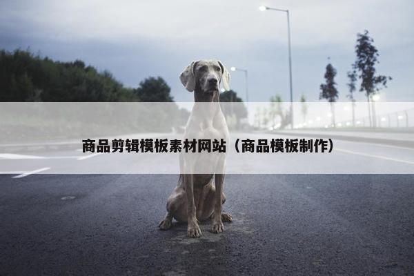 商品剪辑模板素材网站（商品模板制作）
