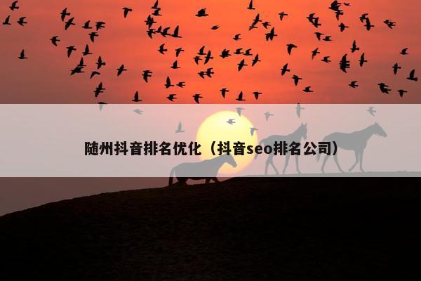 随州抖音排名优化（抖音seo排名公司）