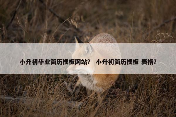 小升初毕业简历模板网站？ 小升初简历模板 表格？